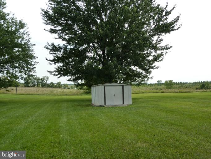 Backyard with storage shed