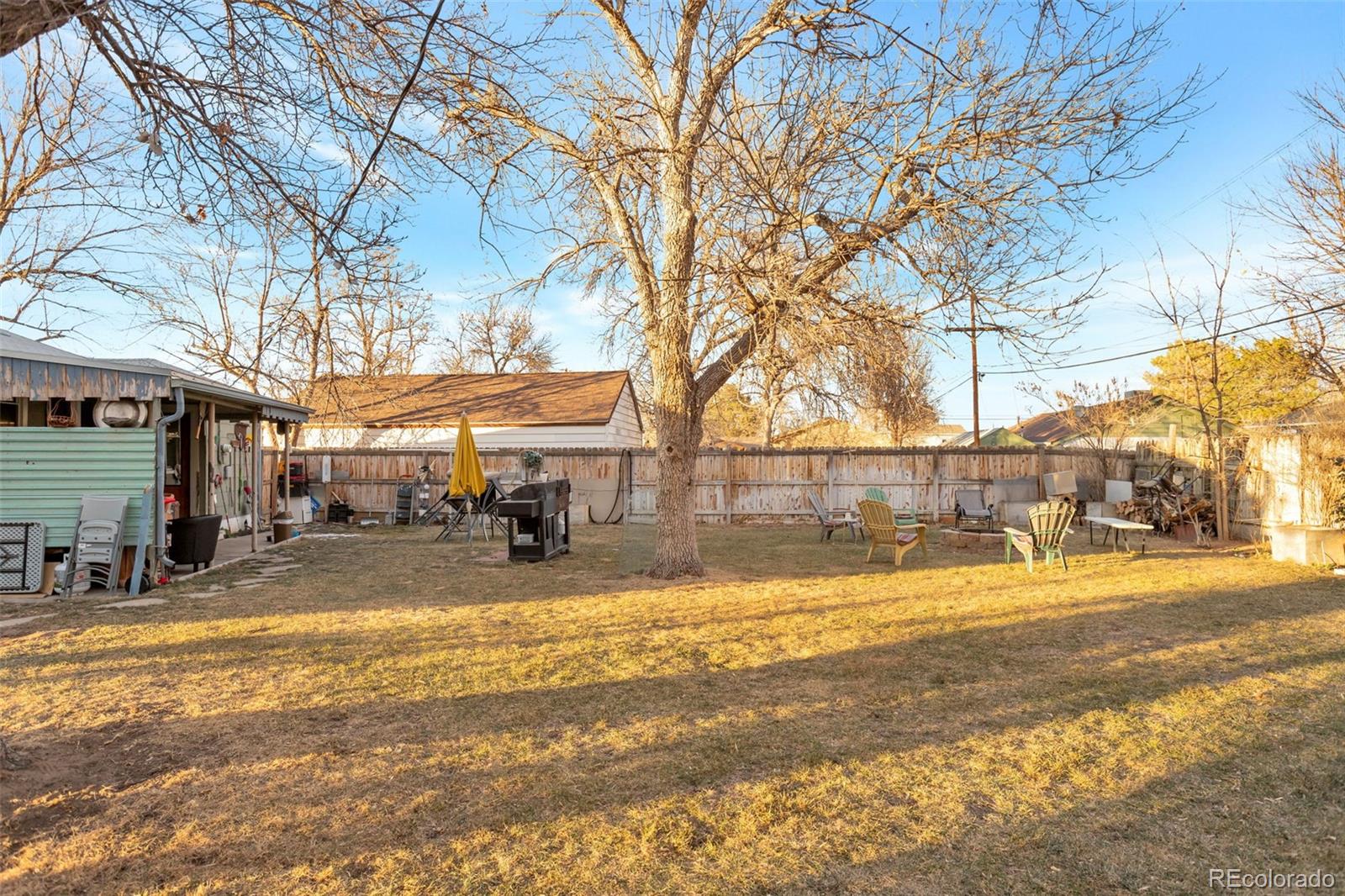 6830 Olive Street Commerce City, CO 80022 - Photo 23 of 25 a view of a yard with a trees