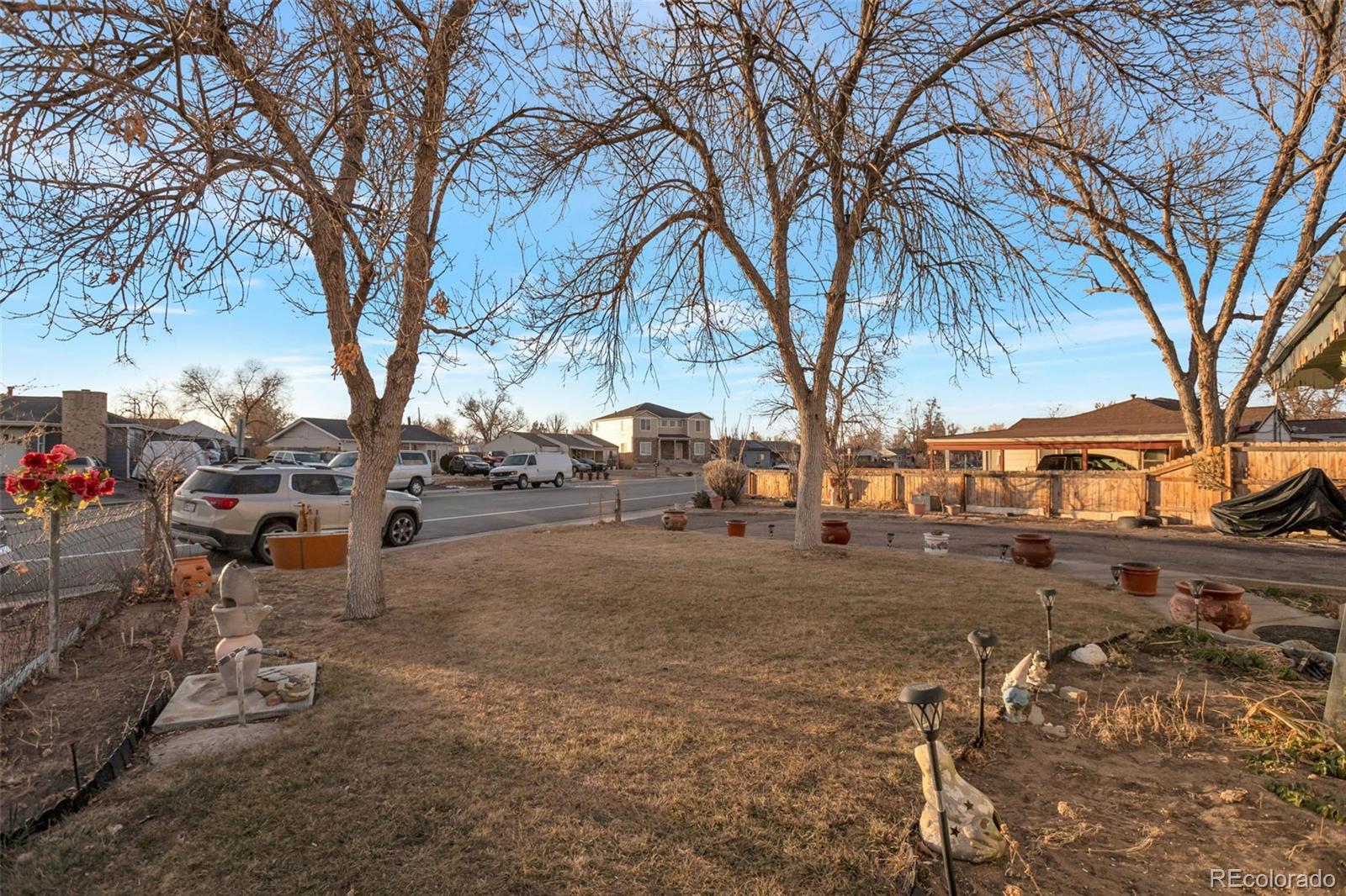 6830 Olive Street Commerce City, CO 80022 - Photo 24 of 25 a row of palm trees in front of yellow house