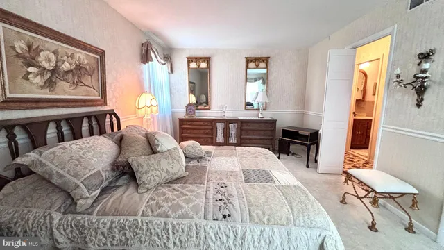 a view of a garden with plants