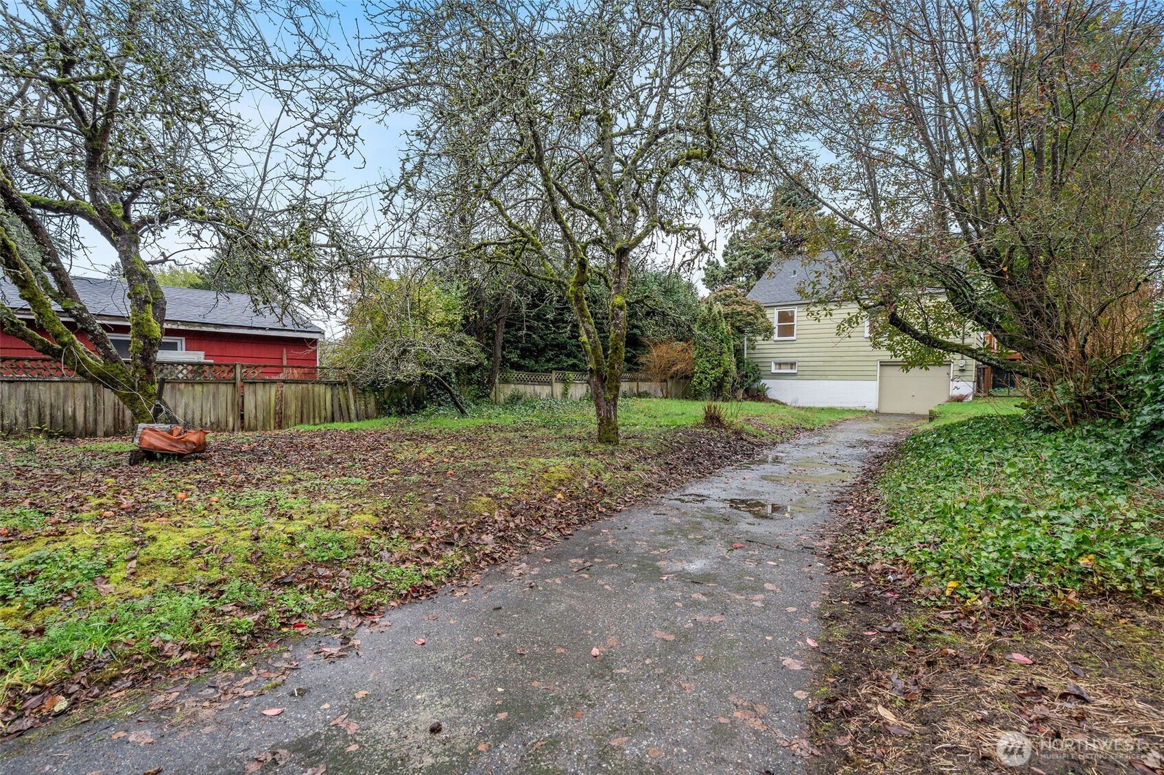 9748 Dayton Avenue North Seattle, WA 98103 - Photo 38 of 39 a view of a park with large trees