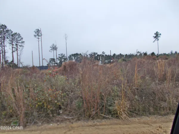 $30,000 | 0 Sweet Pond Road, Greenwood, FL 32443