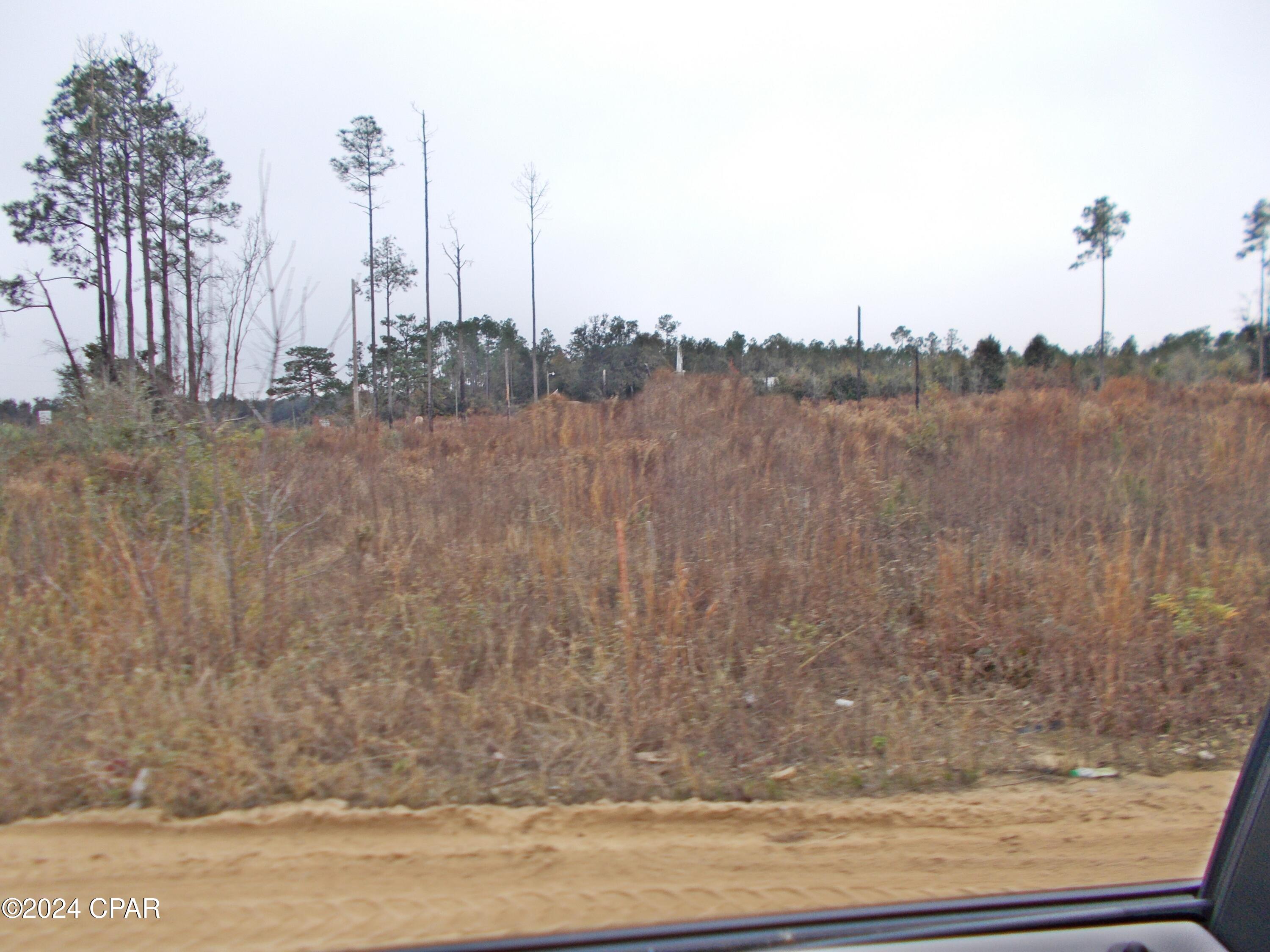 0 Sweet Pond Road Greenwood, FL 32443 - Photo 3 of 4