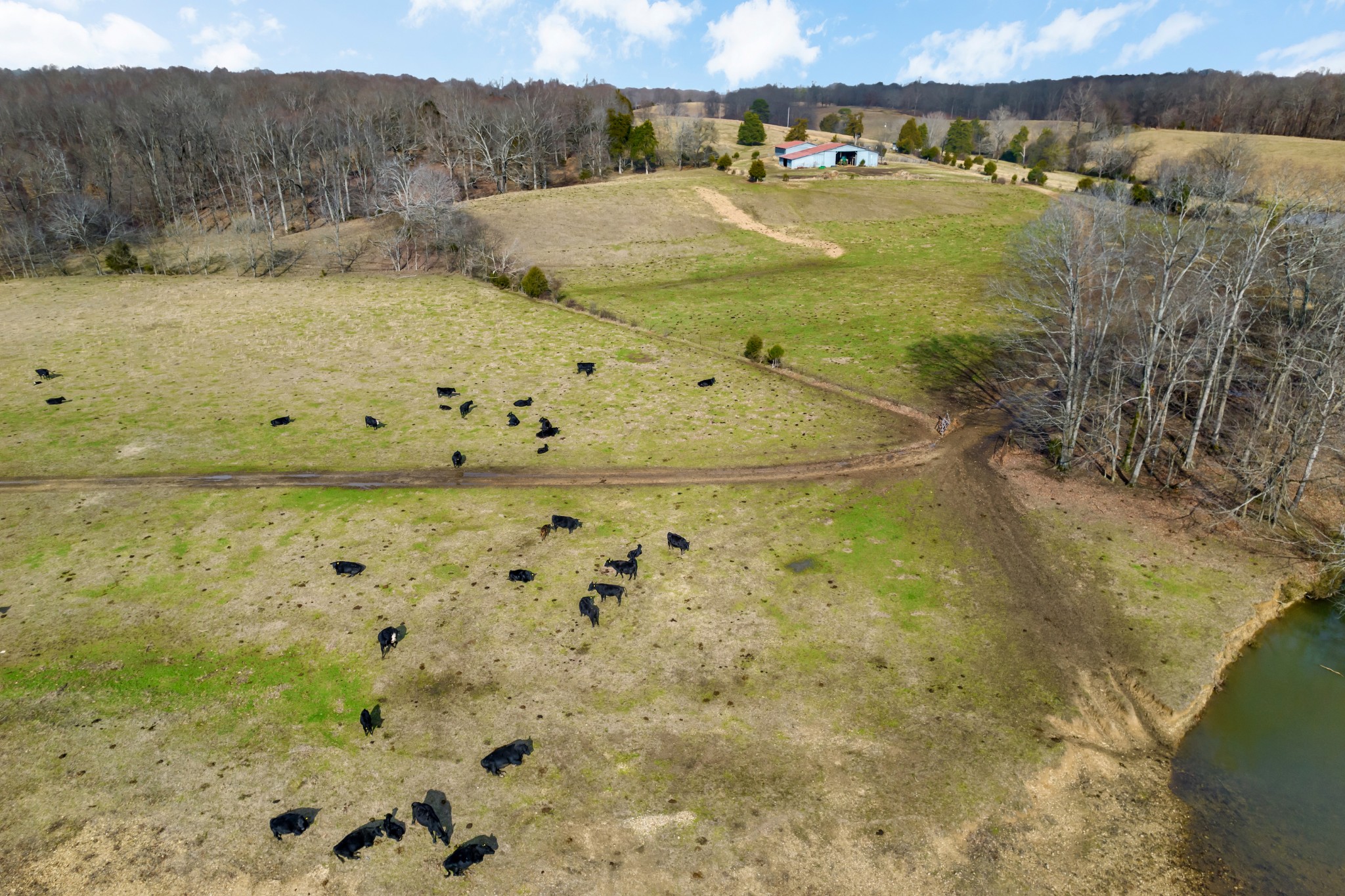 0 Turnpike Road Ethridge, TN 38456 - Photo 12 of 30 Gallery Image 12