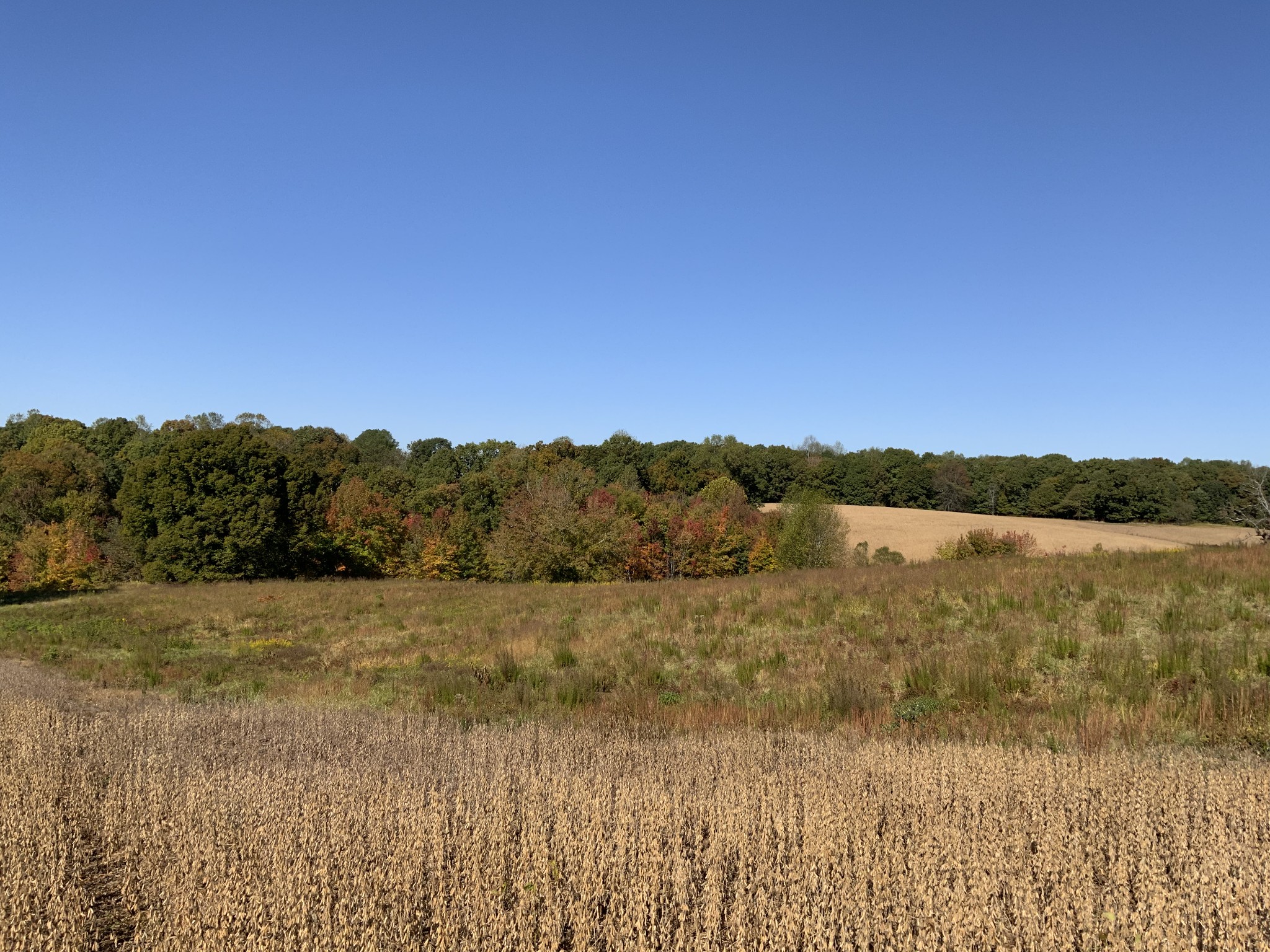 0 Turnpike Road Ethridge, TN 38456 - Photo 3 of 30 Gallery Image 3