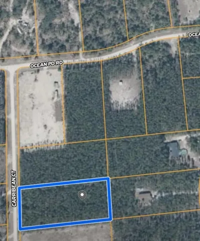 $49,000 | 0 Caribeean Court, Perry, FL 32348