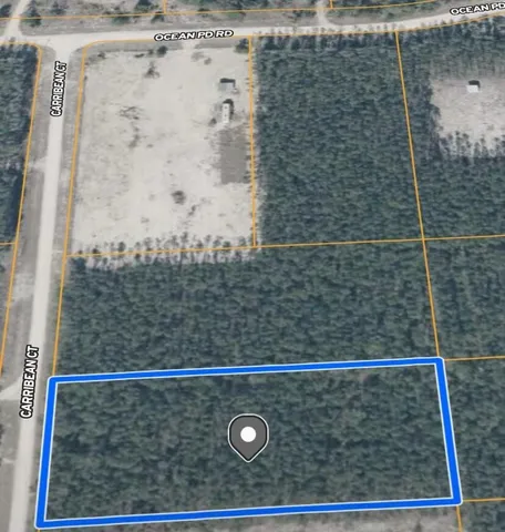 $49,000 | 0 Caribeean Court, Perry, FL 32348