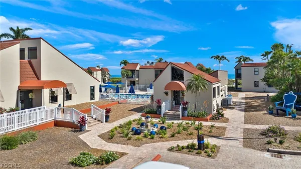 a view of a palm trees