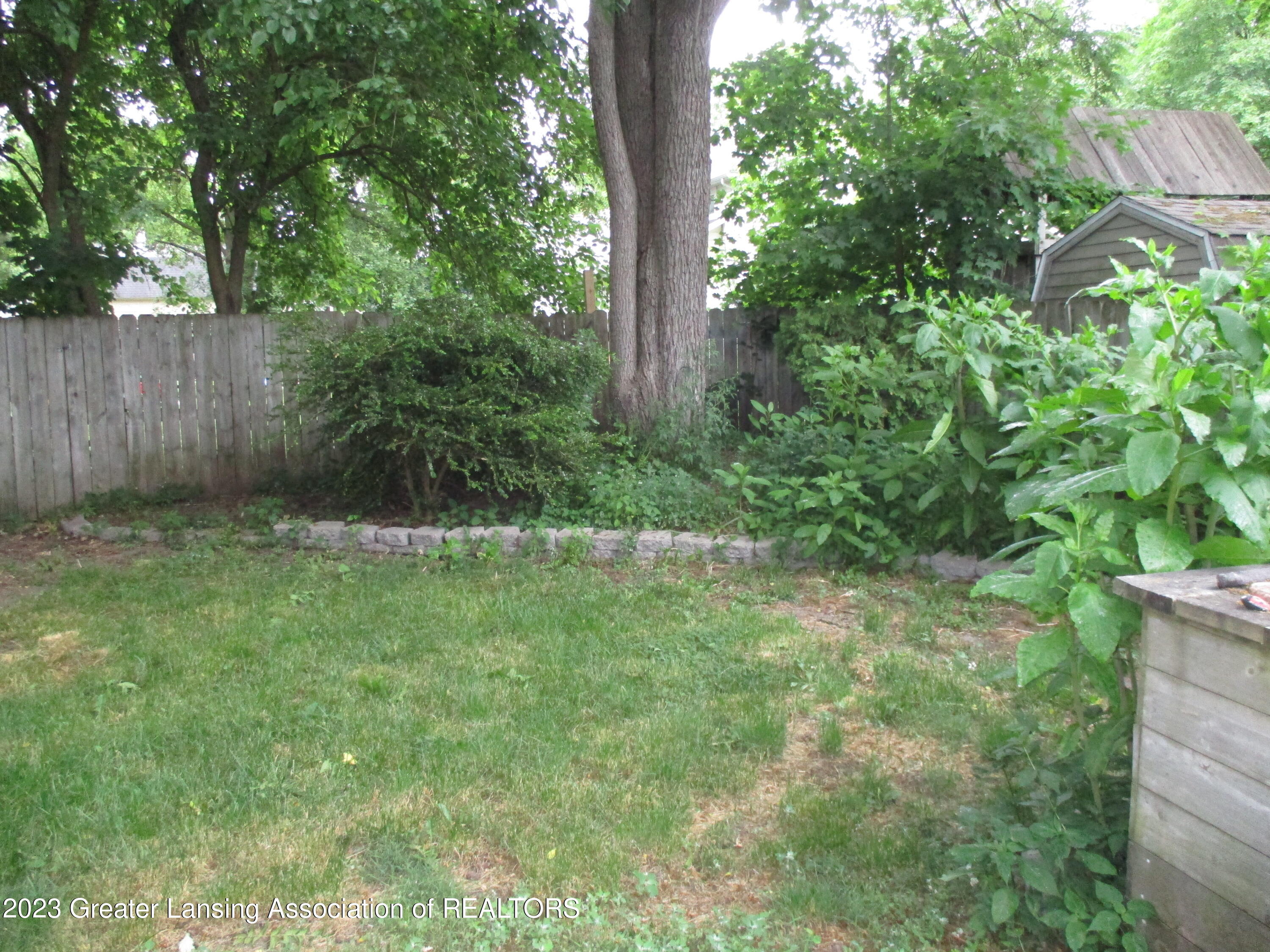 447 South Cochran Road Charlotte, MI 48813 - Photo 21 of 25 IMG_1353
