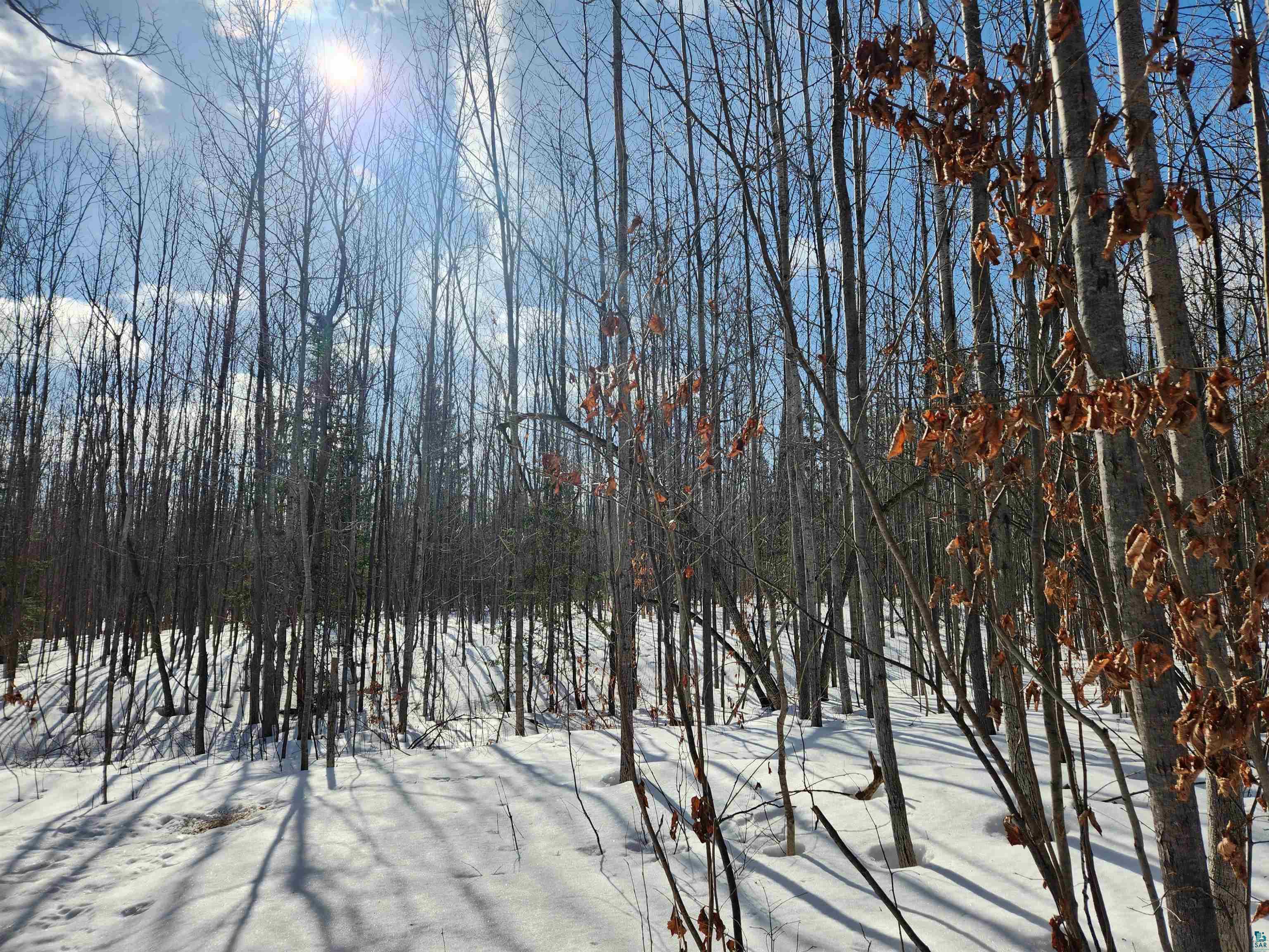 Xxx Holt Road Bayfield, WI 54814 - Photo 8 of 12 Gallery Image 8