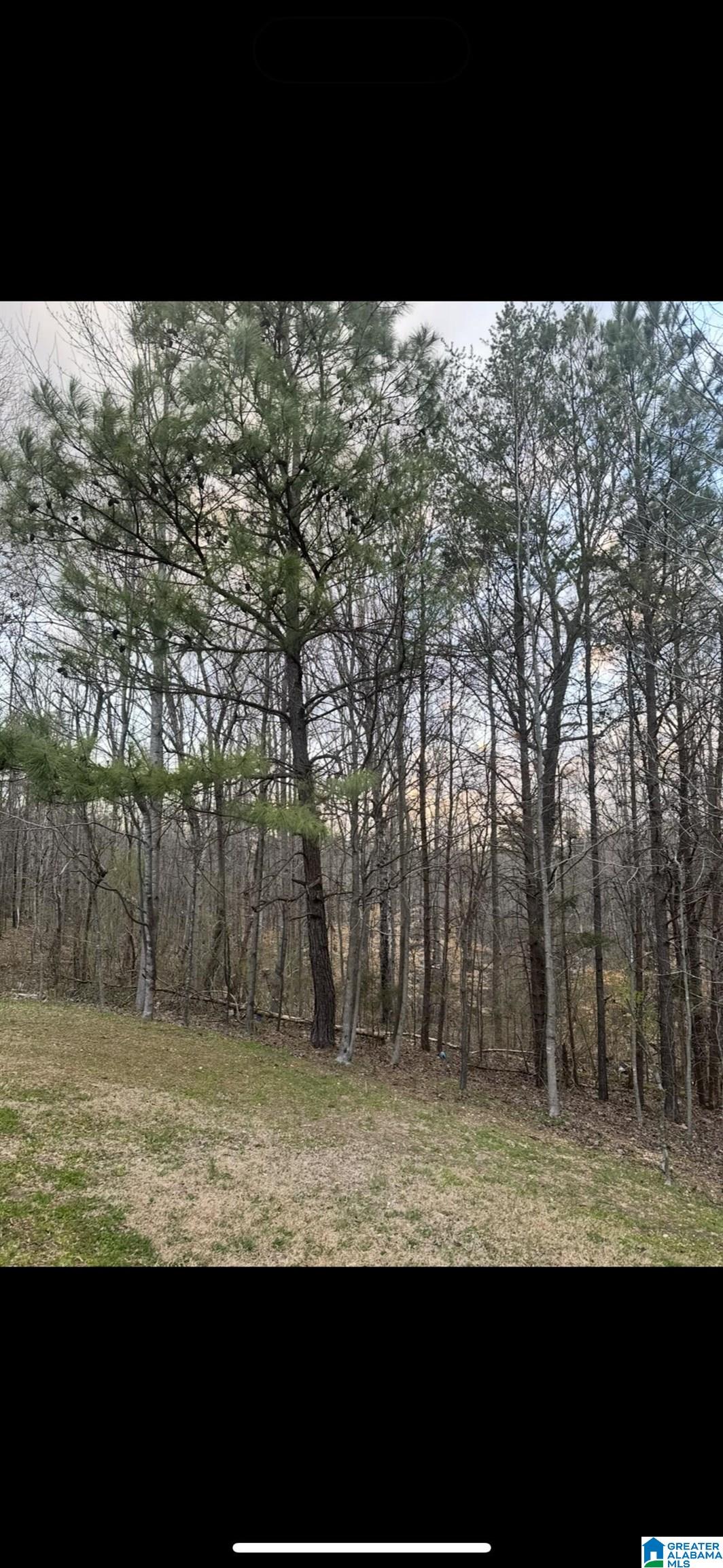2777 Nix Road Phil Campbell, AL 35581 - Photo 33 of 33