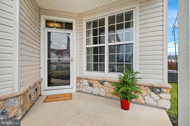 a potted plant sitting in front of a door
