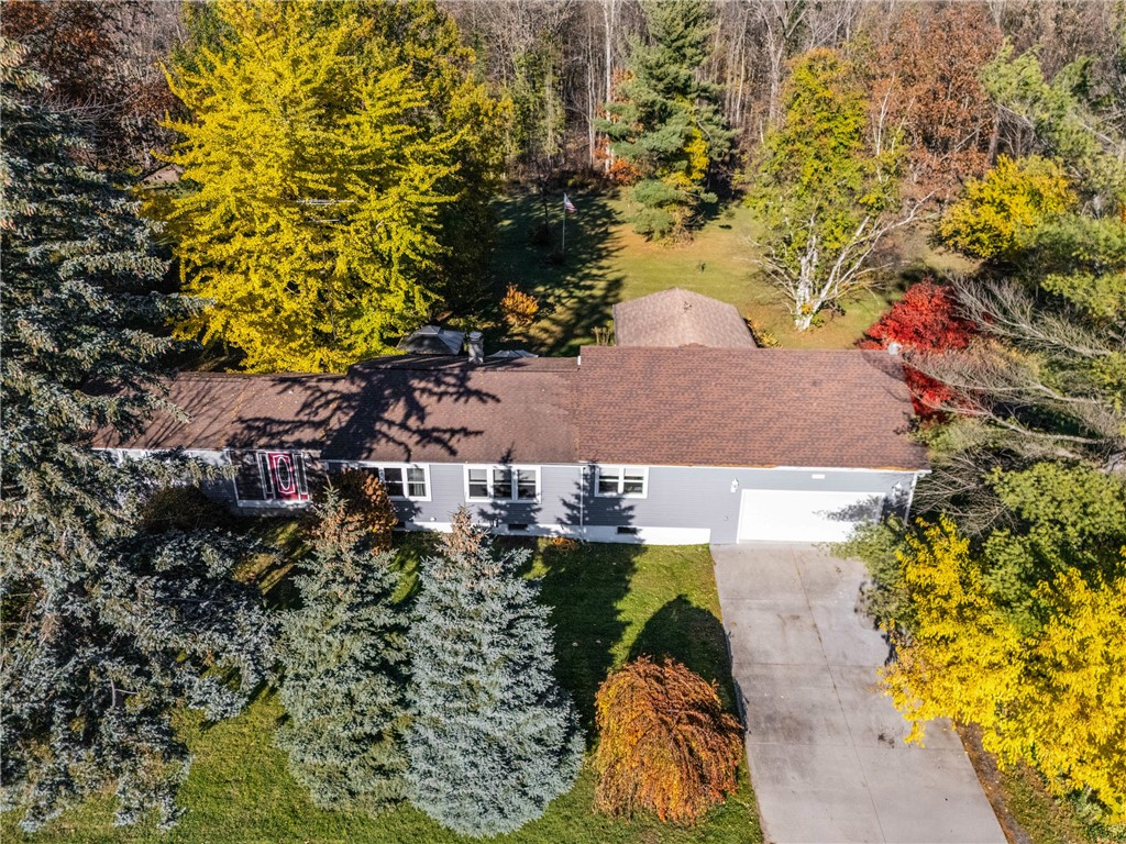 7437 Quarry Road Sodus, NY 14551 - Photo 46 of 50