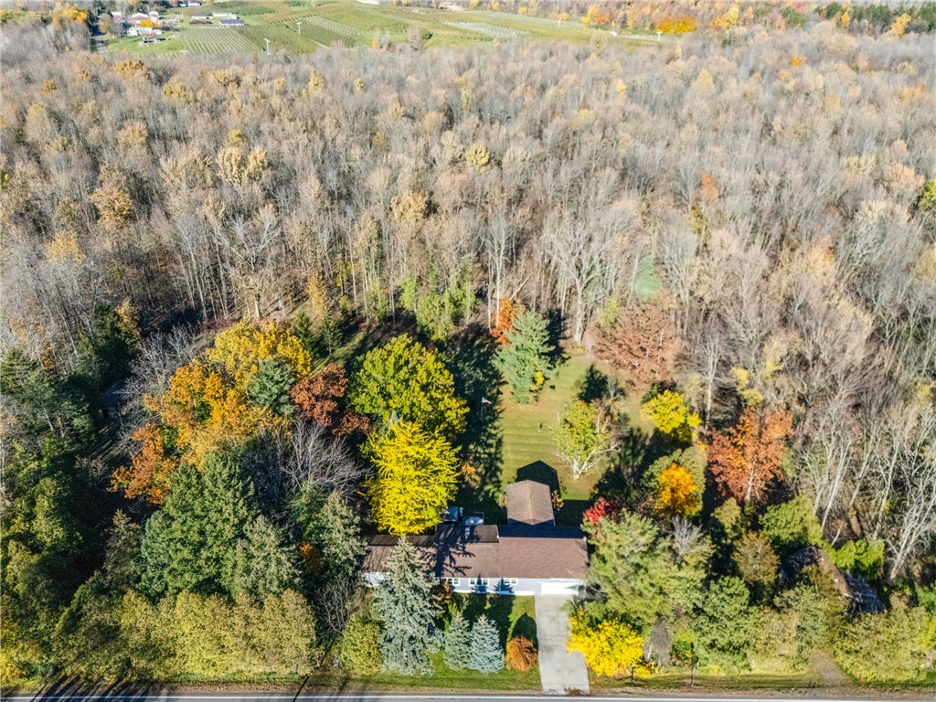 7437 Quarry Road Sodus, NY 14551 - Photo 49 of 50