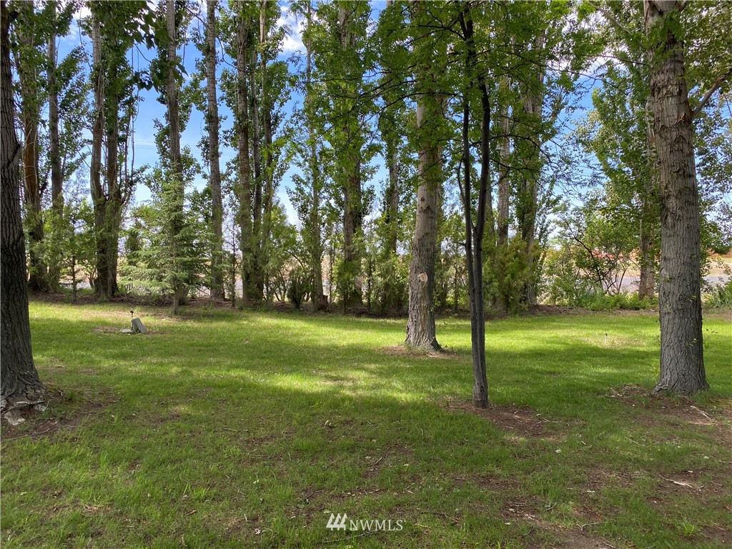 1253 Rd C Northeast Moses Lake, WA 98837 - Photo 15 of 39 Gallery Image 15