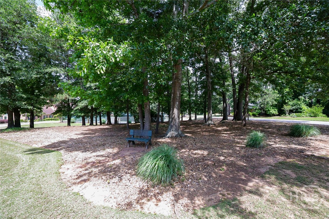 184 Hillsborough Drive Athens, GA 30606 - Photo 52 of 57