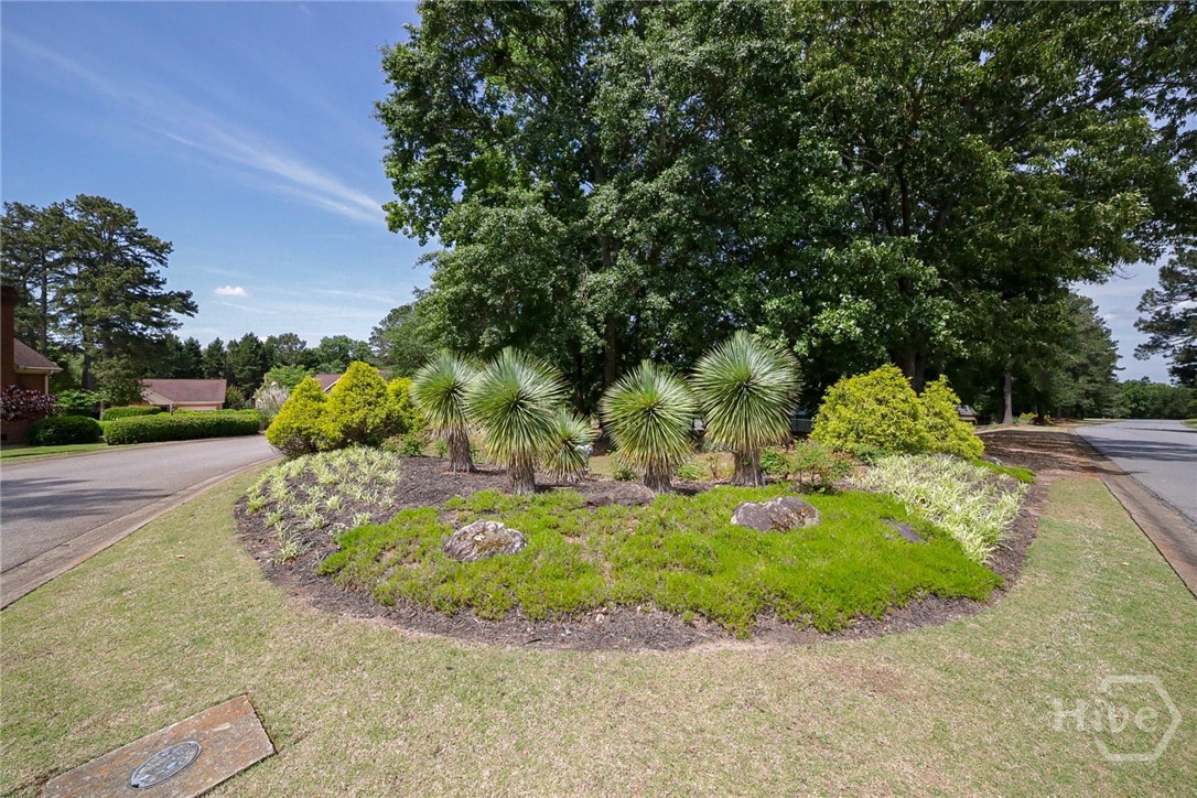 184 Hillsborough Drive Athens, GA 30606 - Photo 56 of 57