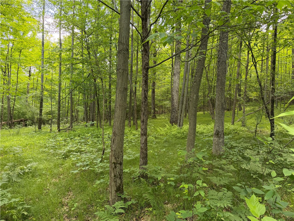 Vl Catatunk Road, Unit R Canisteo, NY 14823 - Photo 27 of 50