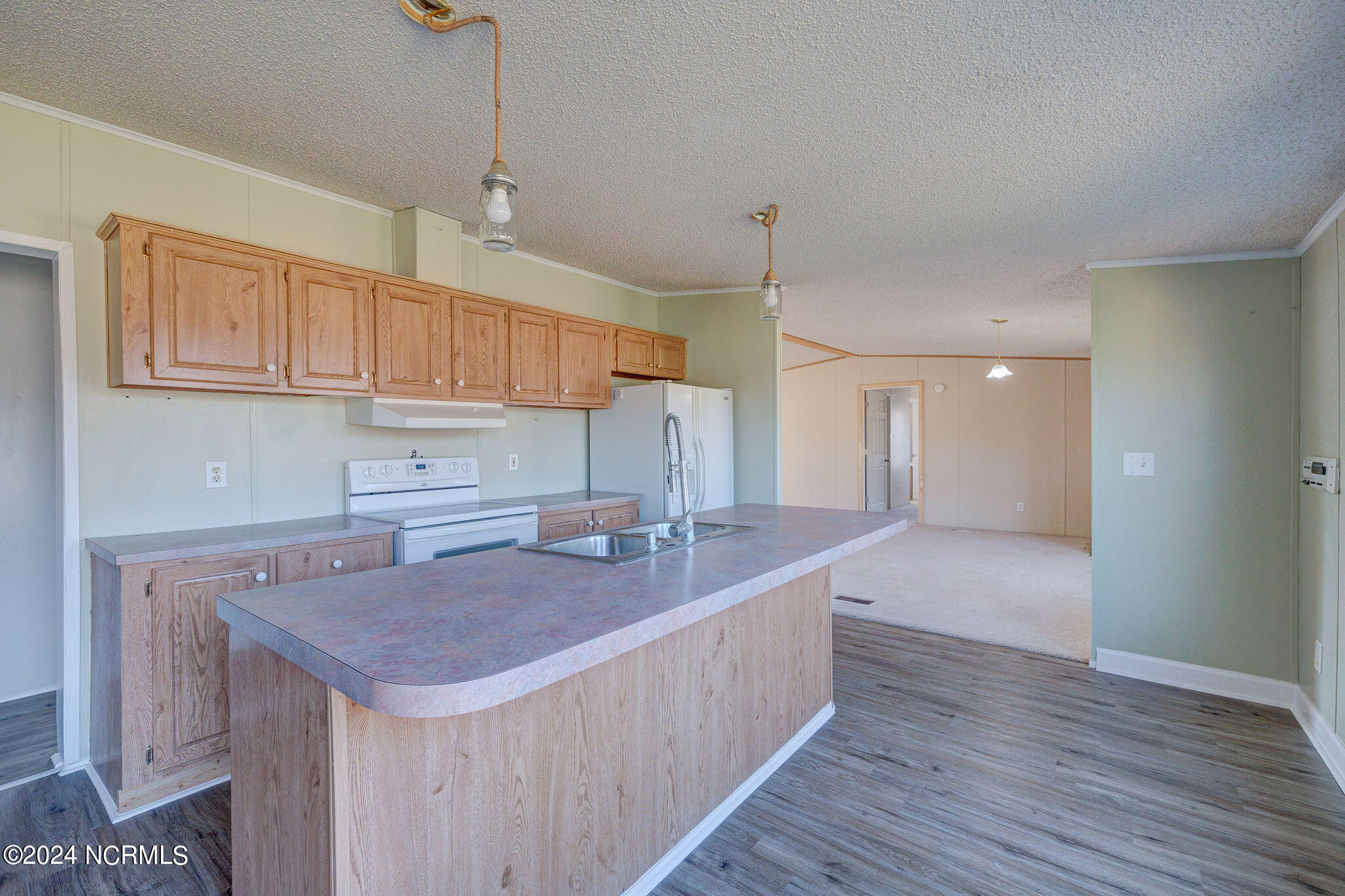 4105 Shiloh Road Willard, NC 28478 - Photo 11 of 37 4105ShilohEdit-20