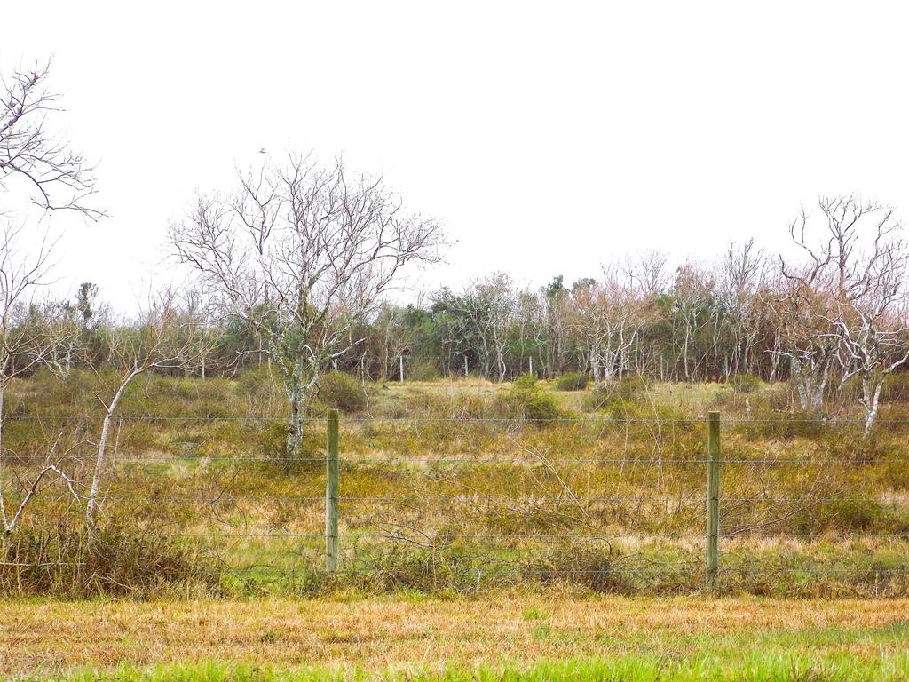 27235 Farm To Market 2004 Angleton, TX 77515 - Photo 2 of 9