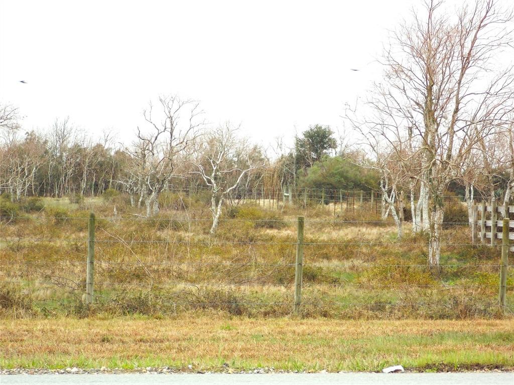 27235 Farm To Market 2004 Angleton, TX 77515 - Photo 4 of 9 a view of a lake view