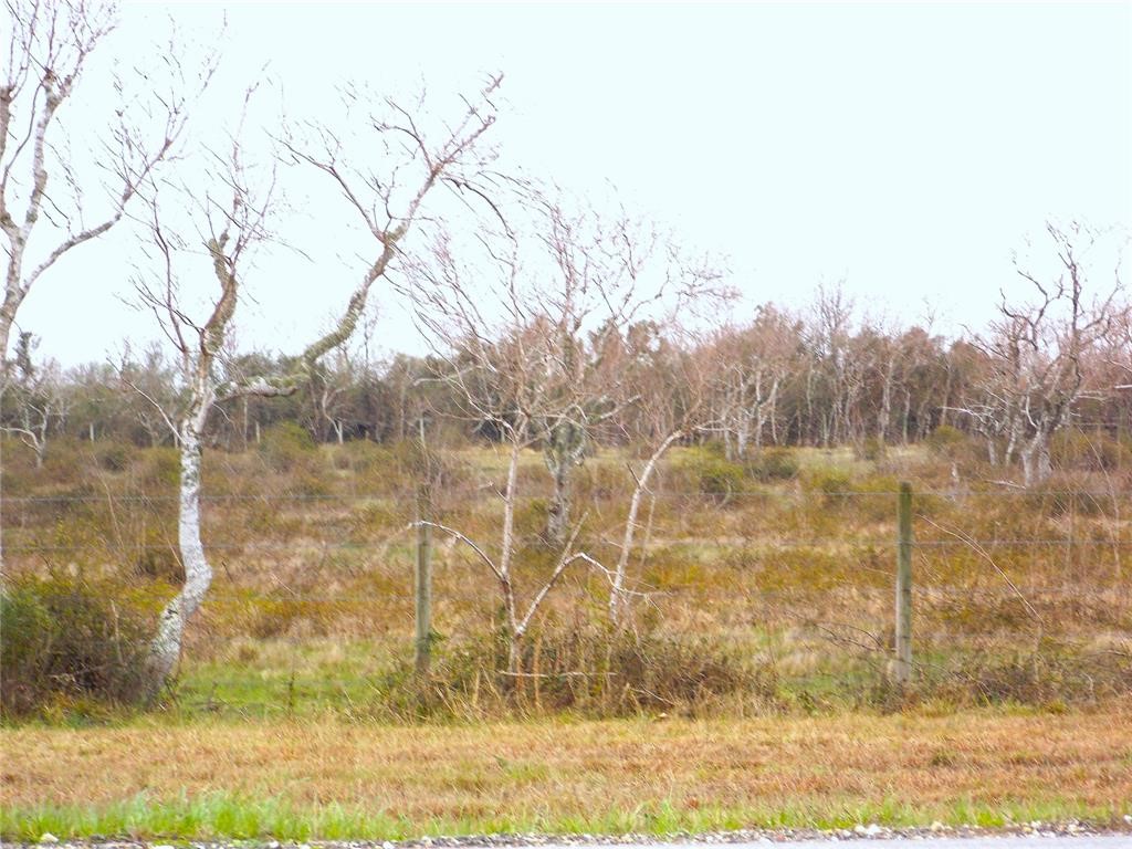 27235 Farm To Market 2004 Angleton, TX 77515 - Photo 5 of 9 a view of a lake view