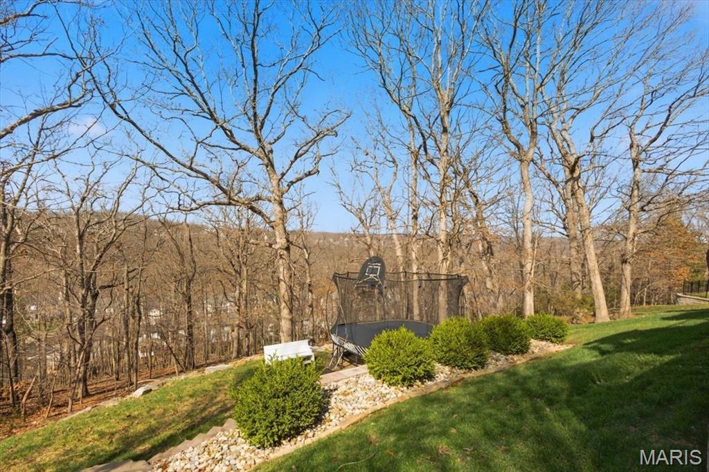 679 Grand View Ridge Court Eureka, MO 63025 - Photo 94 of 99 Gallery Image 94