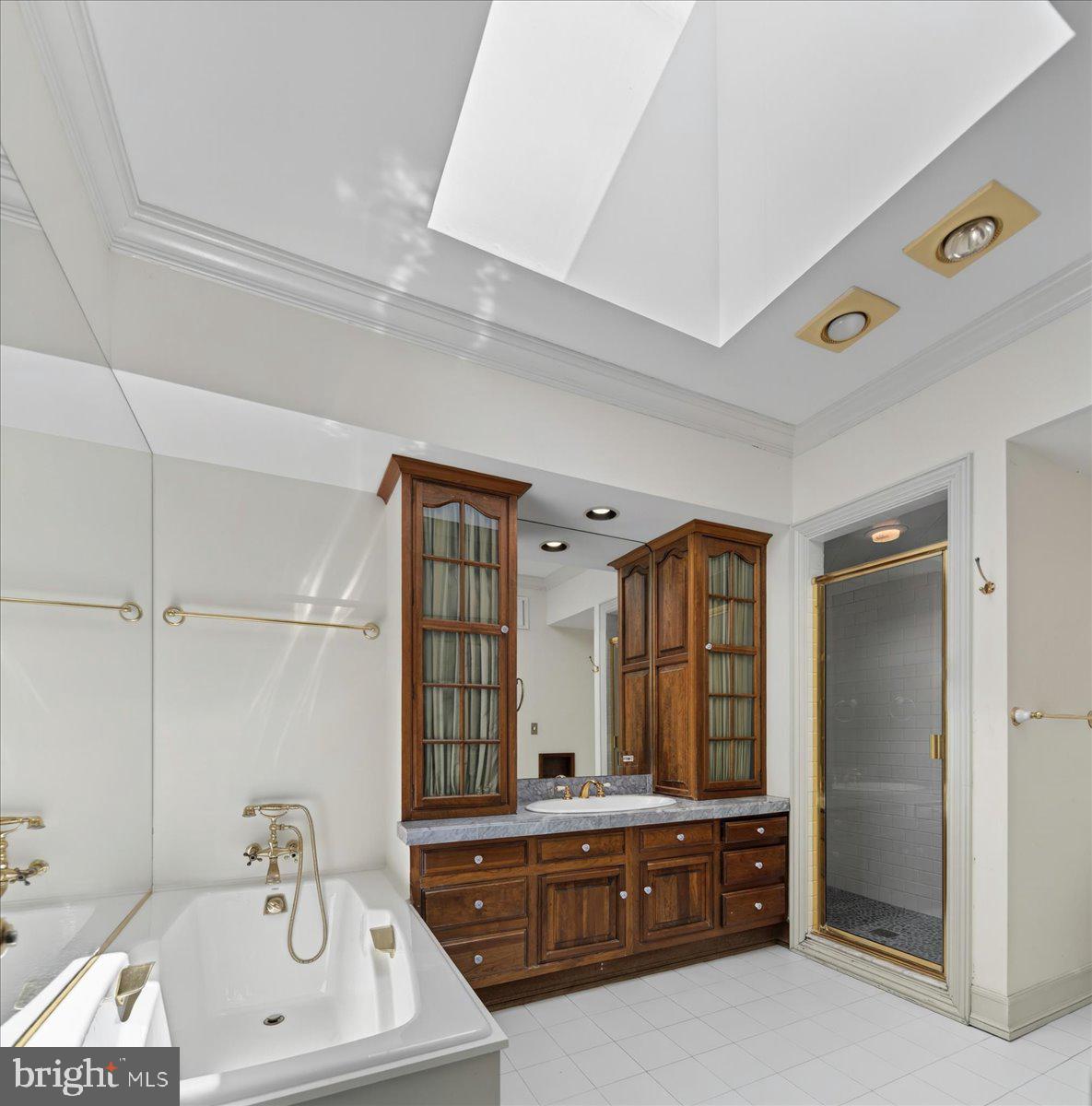 255 Arreton Road Princeton, NJ 08540 - Photo 35 of 65 Primary Bathroom with Skylight