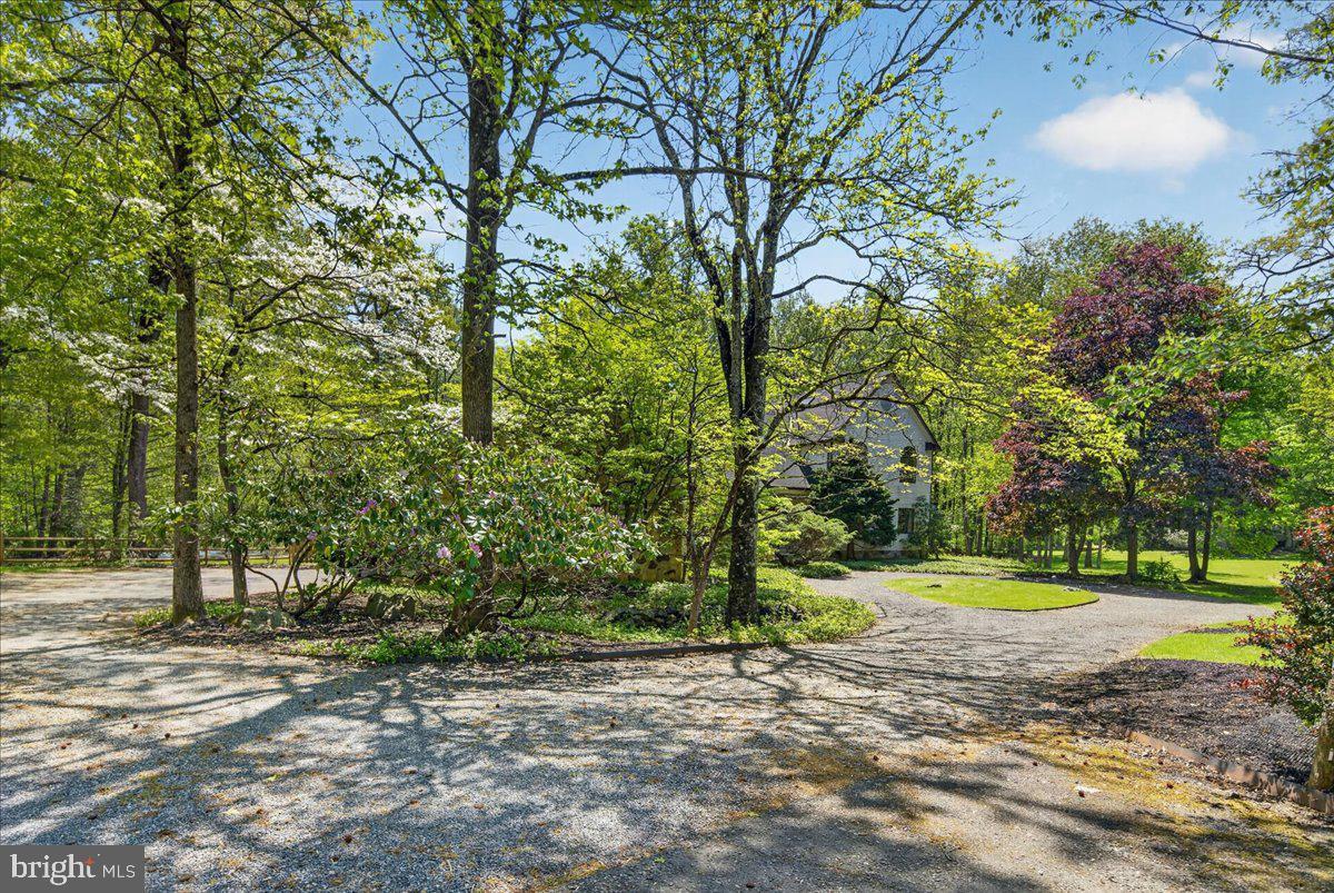 255 Arreton Road Princeton, NJ 08540 - Photo 6 of 65 a view of a park with large trees
