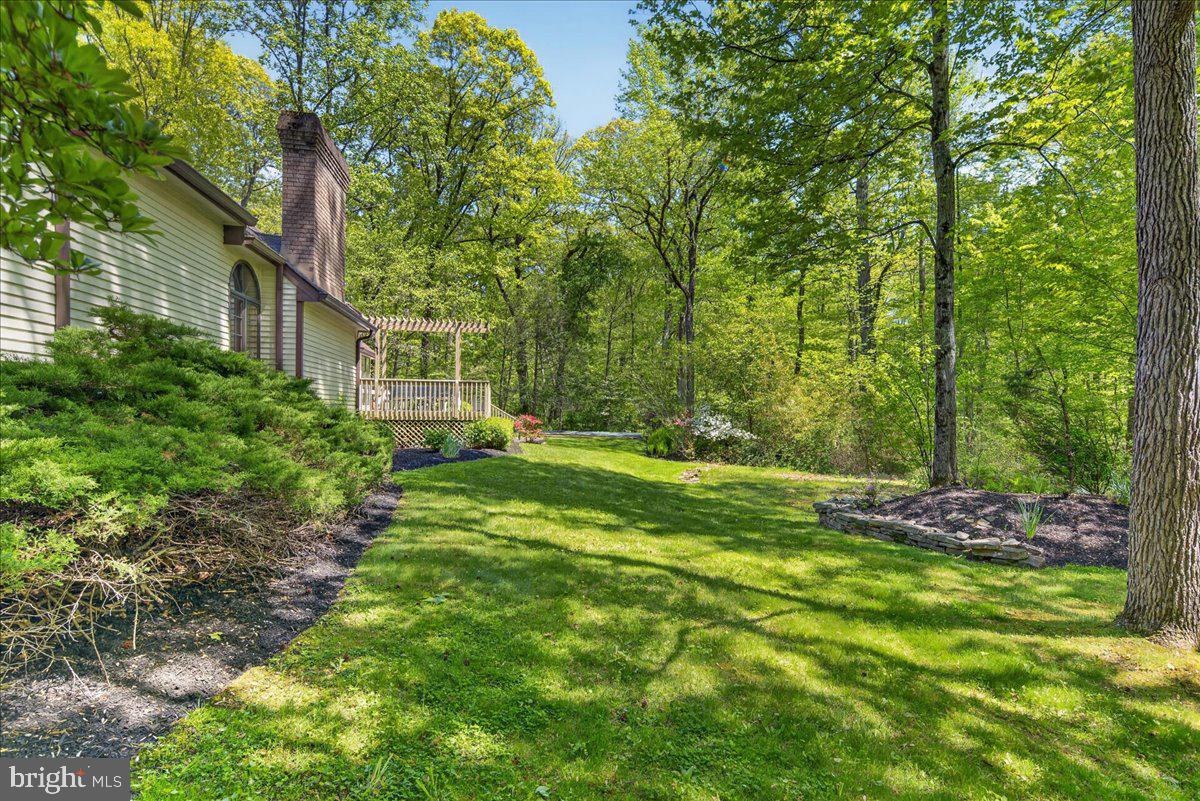 255 Arreton Road Princeton, NJ 08540 - Photo 63 of 65 a view of a big yard with plants and large trees