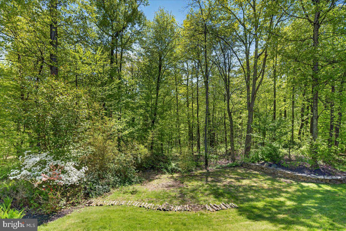 255 Arreton Road Princeton, NJ 08540 - Photo 65 of 65 a view of a yard