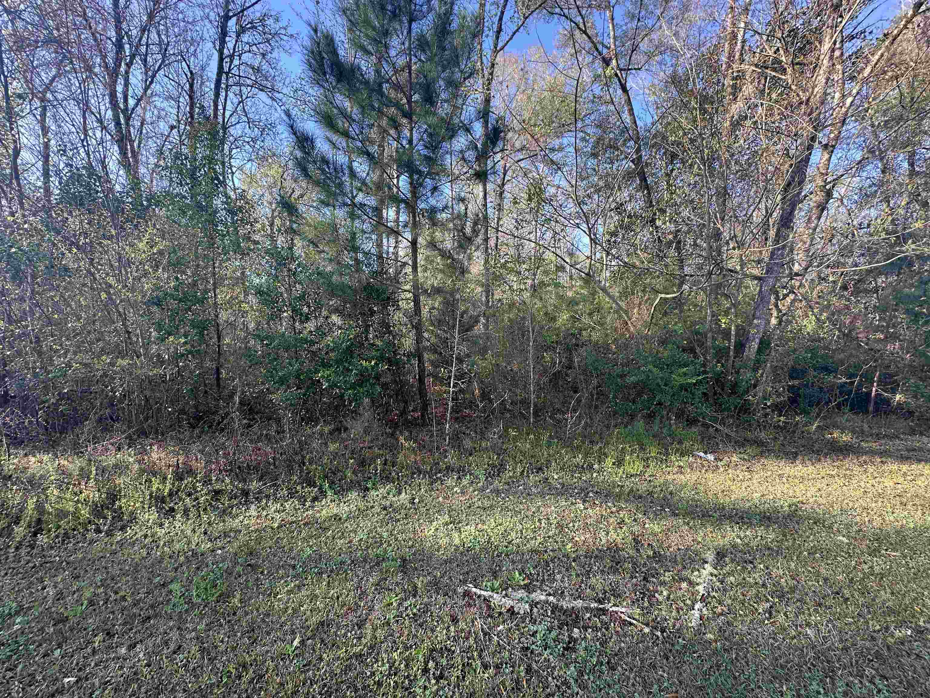 Xx Crayfish Road Chattahoochee, FL 32324 - Photo 2 of 7