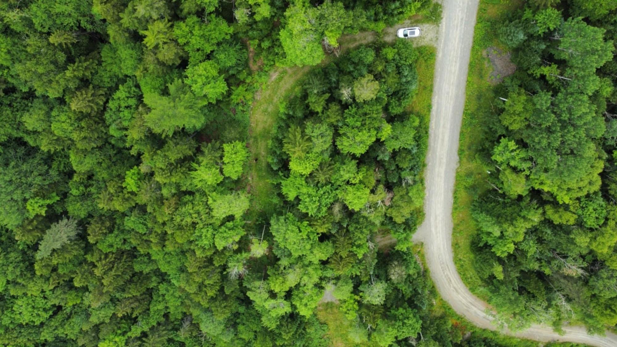 11 Mill Brook Road Sandy River Plt, ME 04970 - Photo 11 of 16 Site, Driveway of neighbor