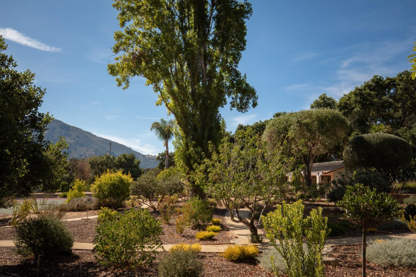 14 Miramonte Road Carmel Valley, CA 93924 - Photo 32 of 34 Gallery Image 32