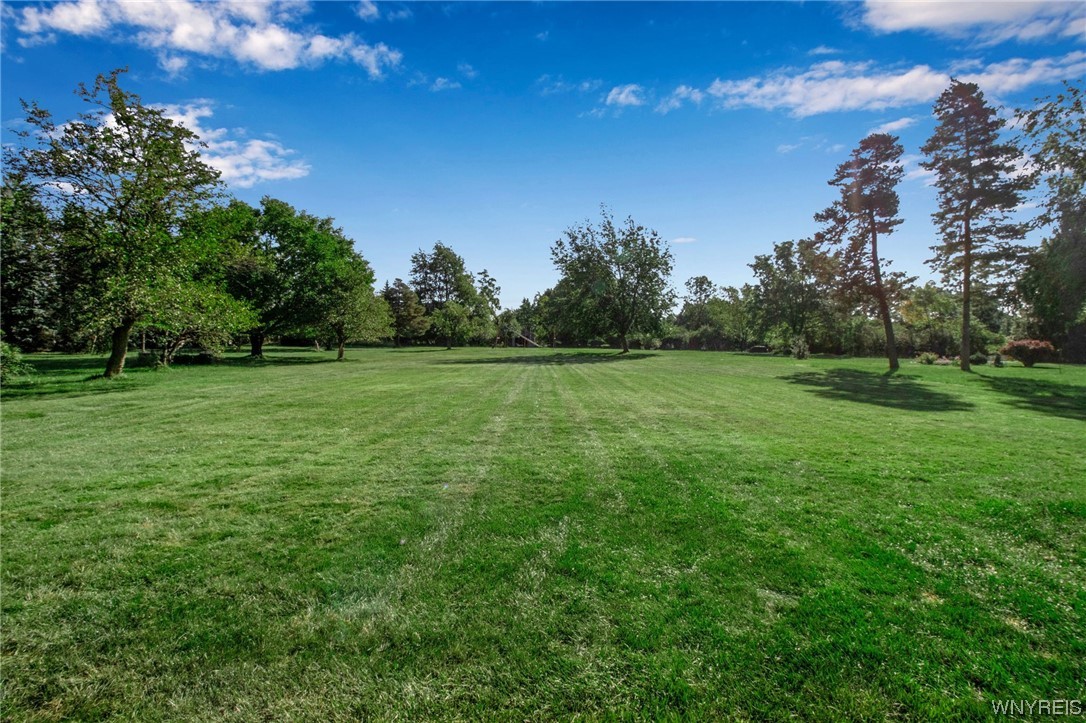 157 Brompton Road Amherst, NY 14221 - Photo 44 of 50