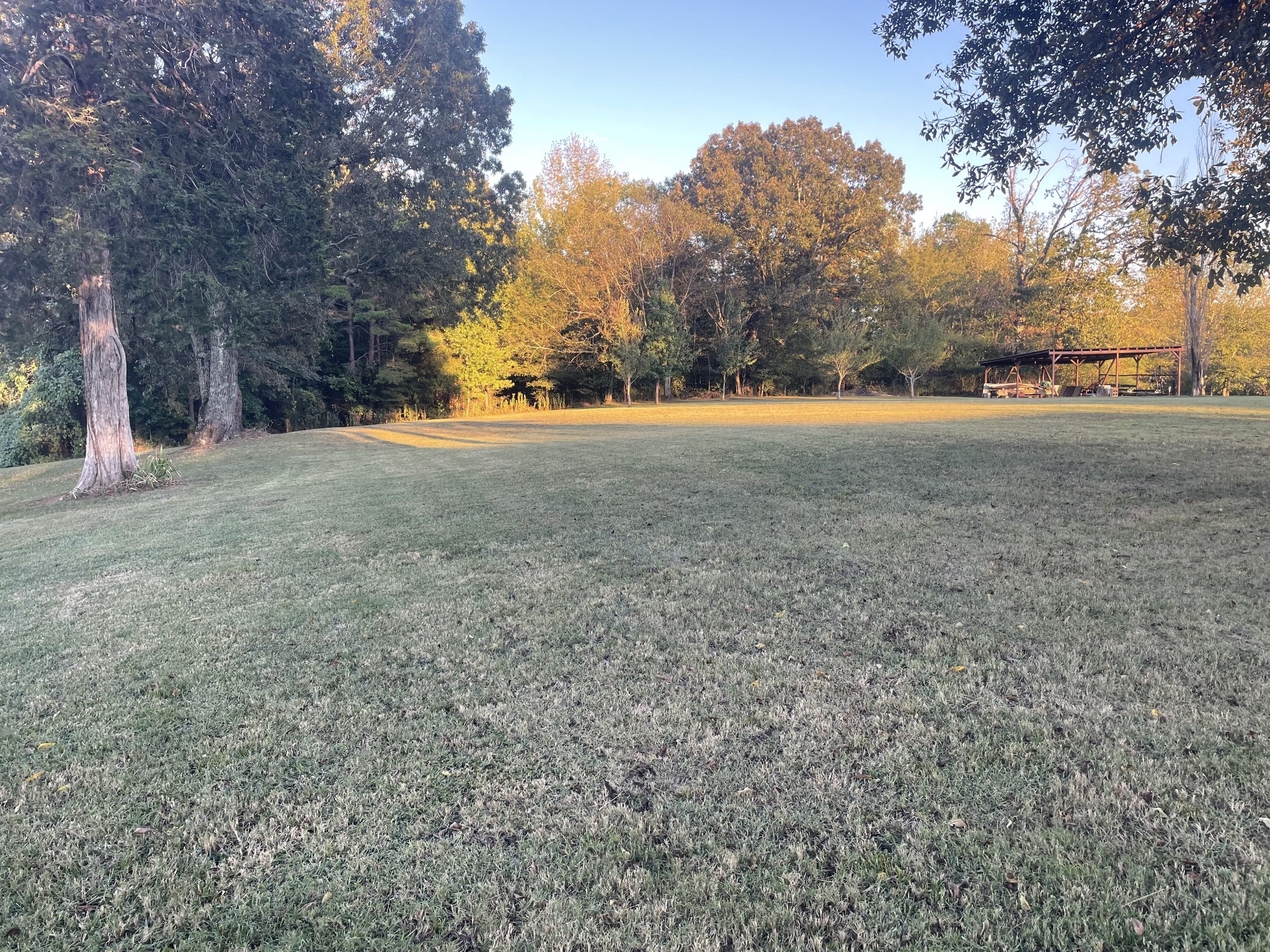 2890 Nance Bend Road Clifton, TN 38425 - Photo 7 of 52