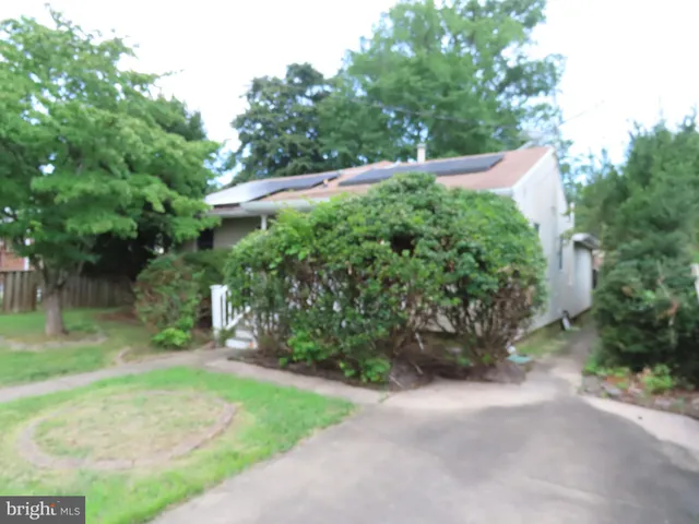 a view of a street with potted plants and large trees