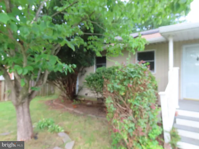 a view of a house with a tree