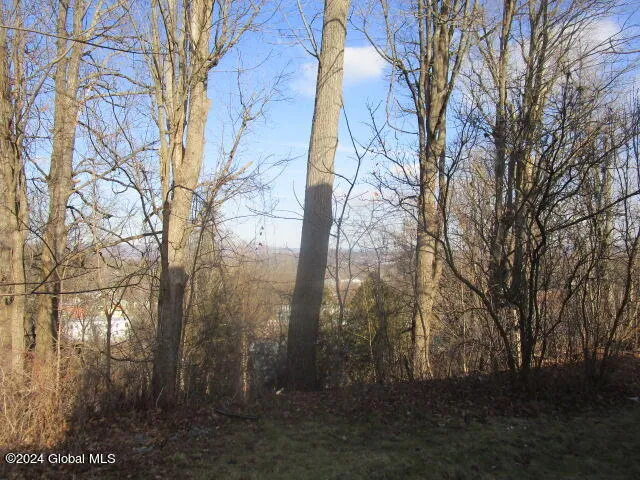 $85,900 | 64 Waddell Avenue, Fort Plain, NY 13339