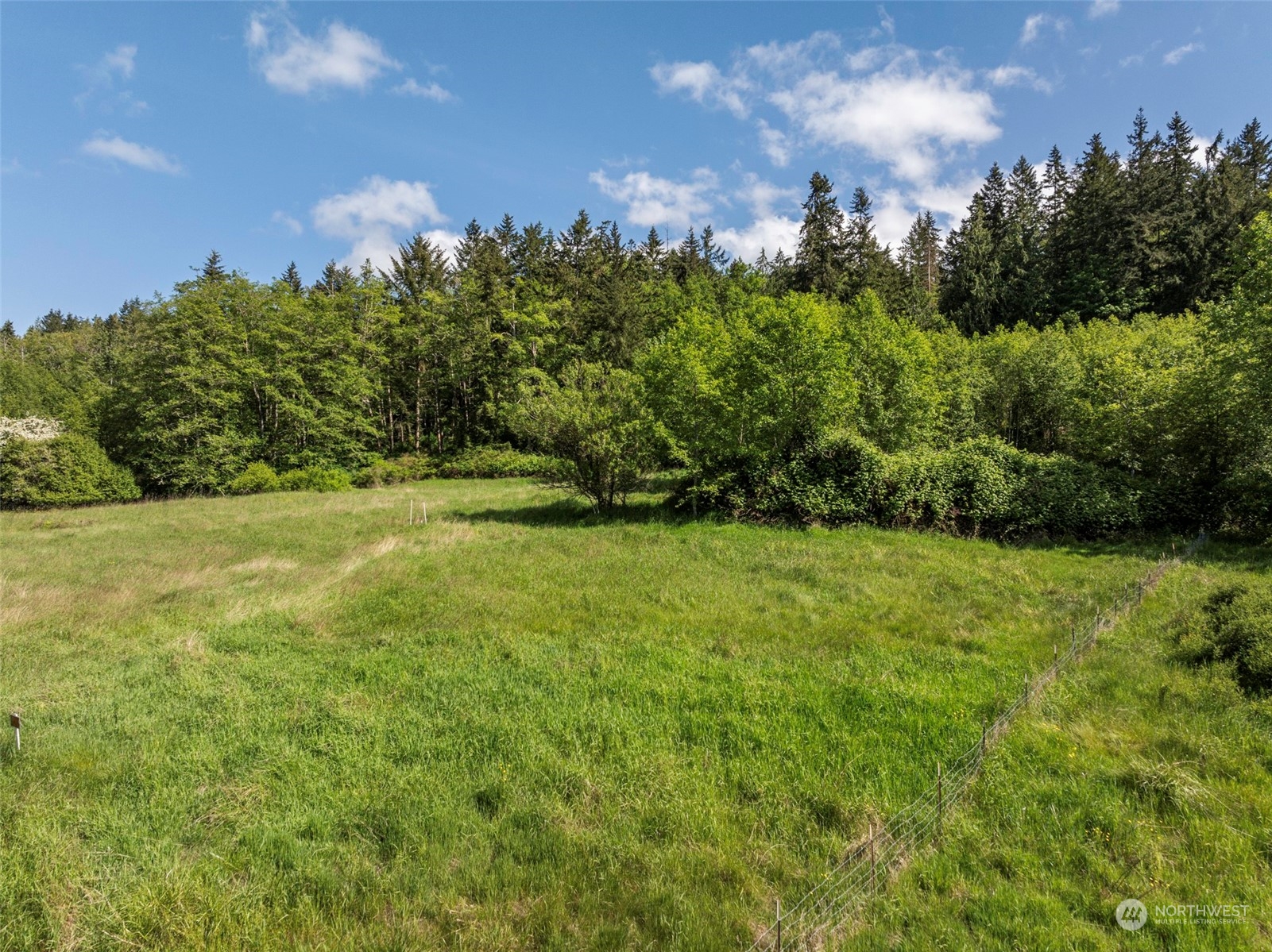 1434 Chicken Coop Road Sequim, WA 98382 - Photo 11 of 25 a view of a field with plants and trees