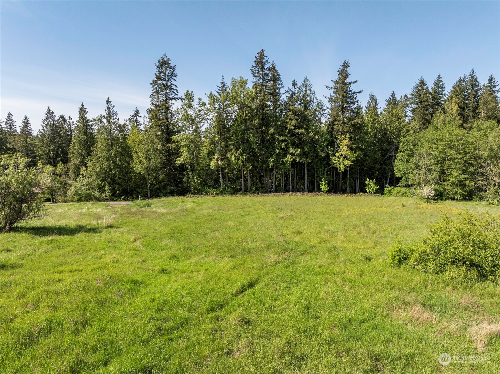 1434 Chicken Coop Road Sequim, WA 98382 - Photo 12 of 25 a view of green field with trees in the background