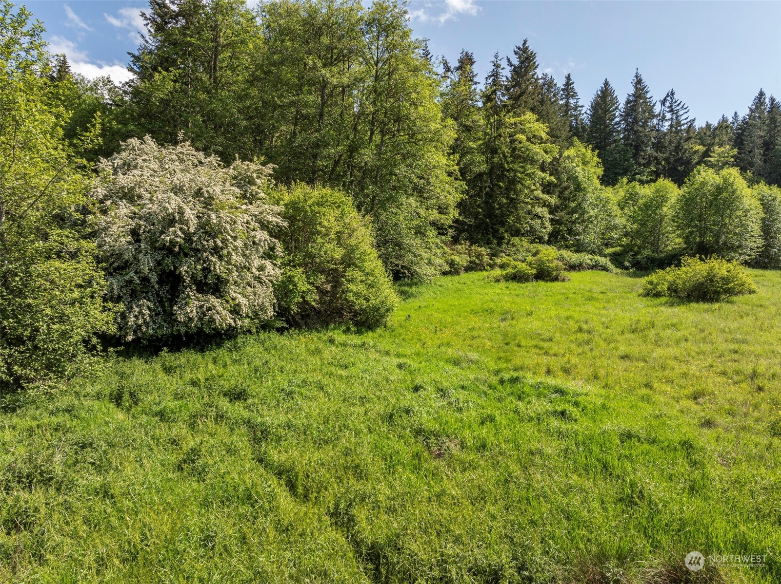 1434 Chicken Coop Road Sequim, WA 98382 - Photo 14 of 25 a view of a large yard with lots of green space
