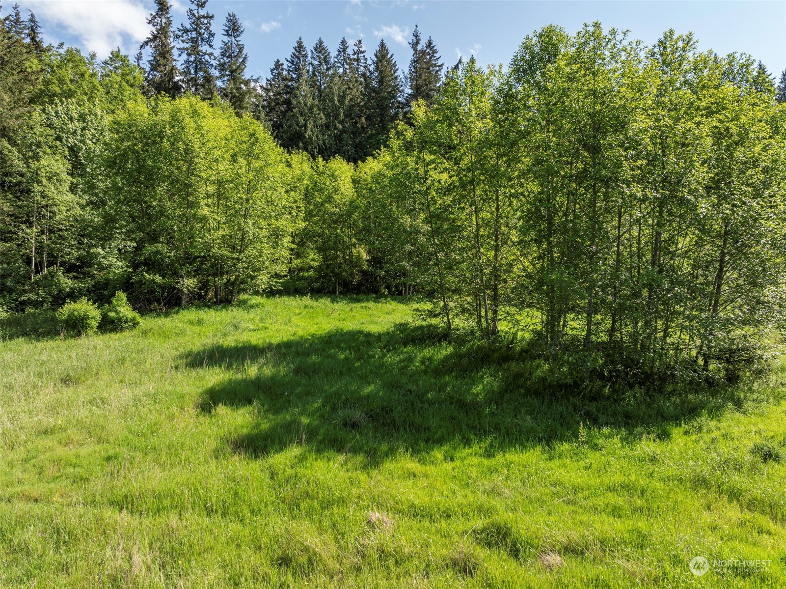 1434 Chicken Coop Road Sequim, WA 98382 - Photo 15 of 25 a view of yard with green space