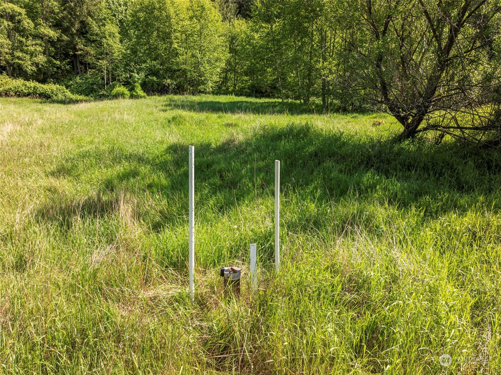 1434 Chicken Coop Road Sequim, WA 98382 - Photo 16 of 25 a view of a garden from a lake