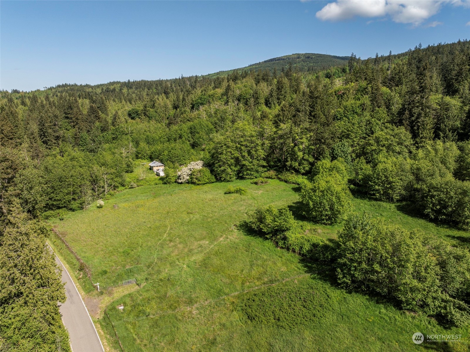 1434 Chicken Coop Road Sequim, WA 98382 - Photo 19 of 25 a view of a lush green forest with lots of trees