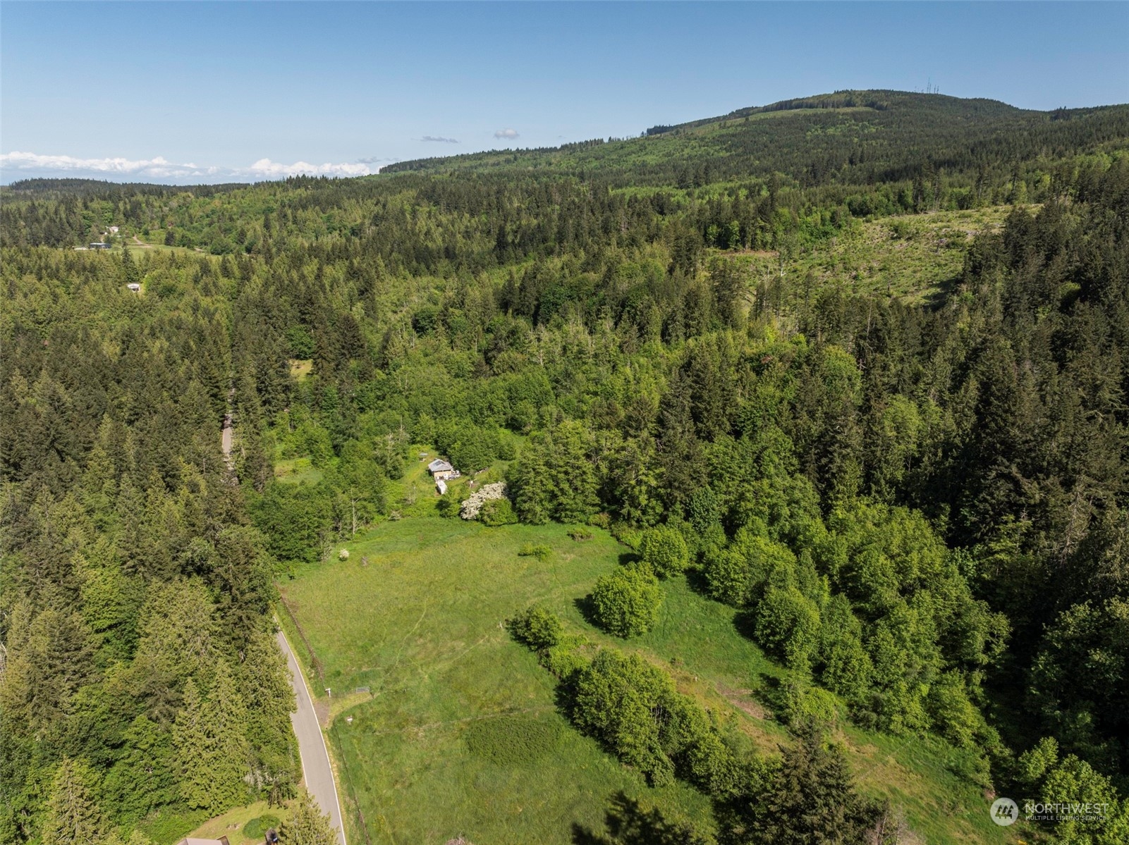 1434 Chicken Coop Road Sequim, WA 98382 - Photo 20 of 25 a view of a lush green forest with a mountain