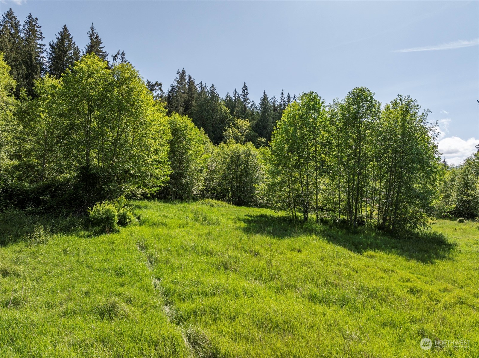 1434 Chicken Coop Road Sequim, WA 98382 - Photo 21 of 25 a backyard of a house with lots of green space