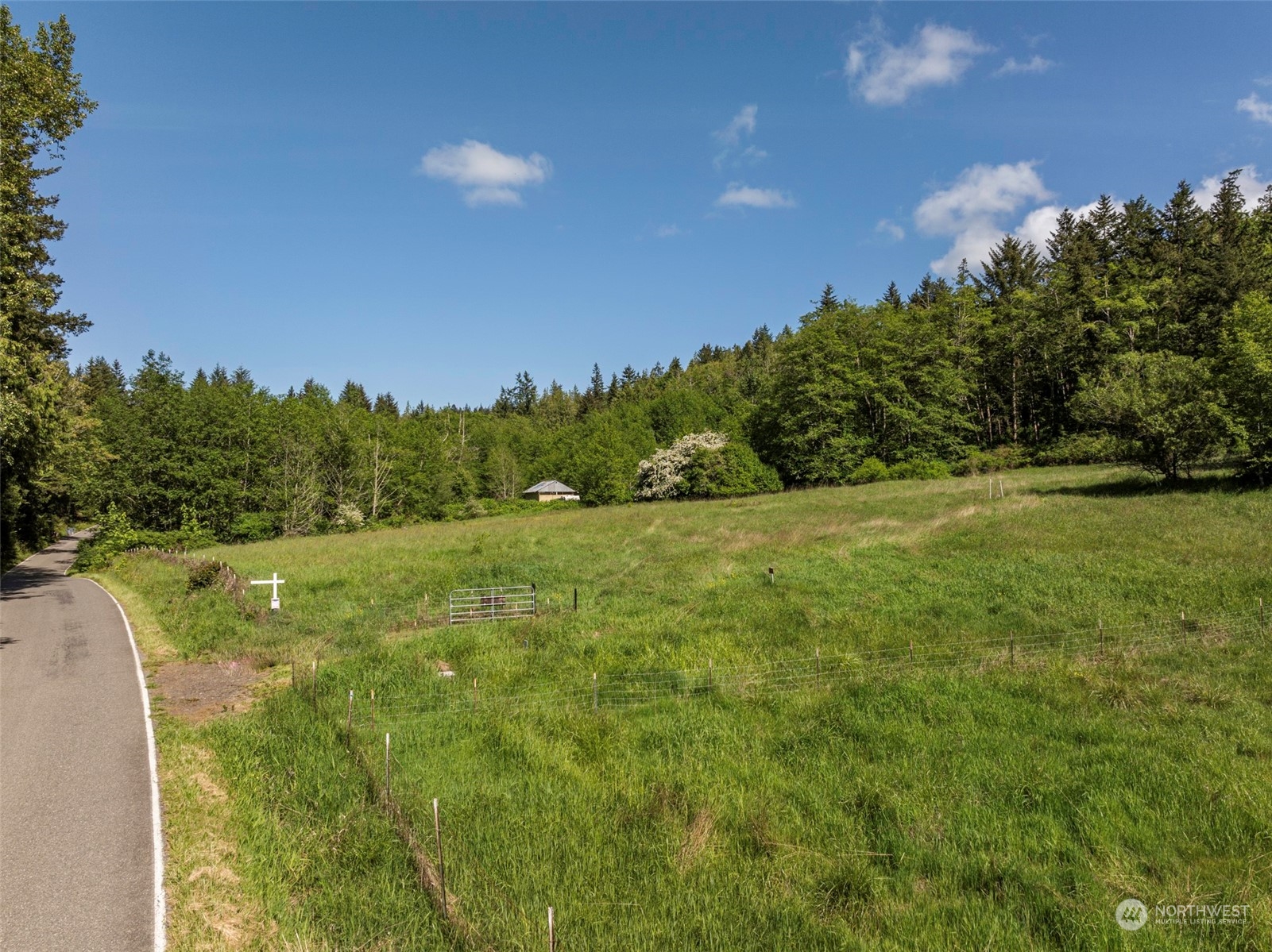 1434 Chicken Coop Road Sequim, WA 98382 - Photo 23 of 25 a view of a field of grass and trees