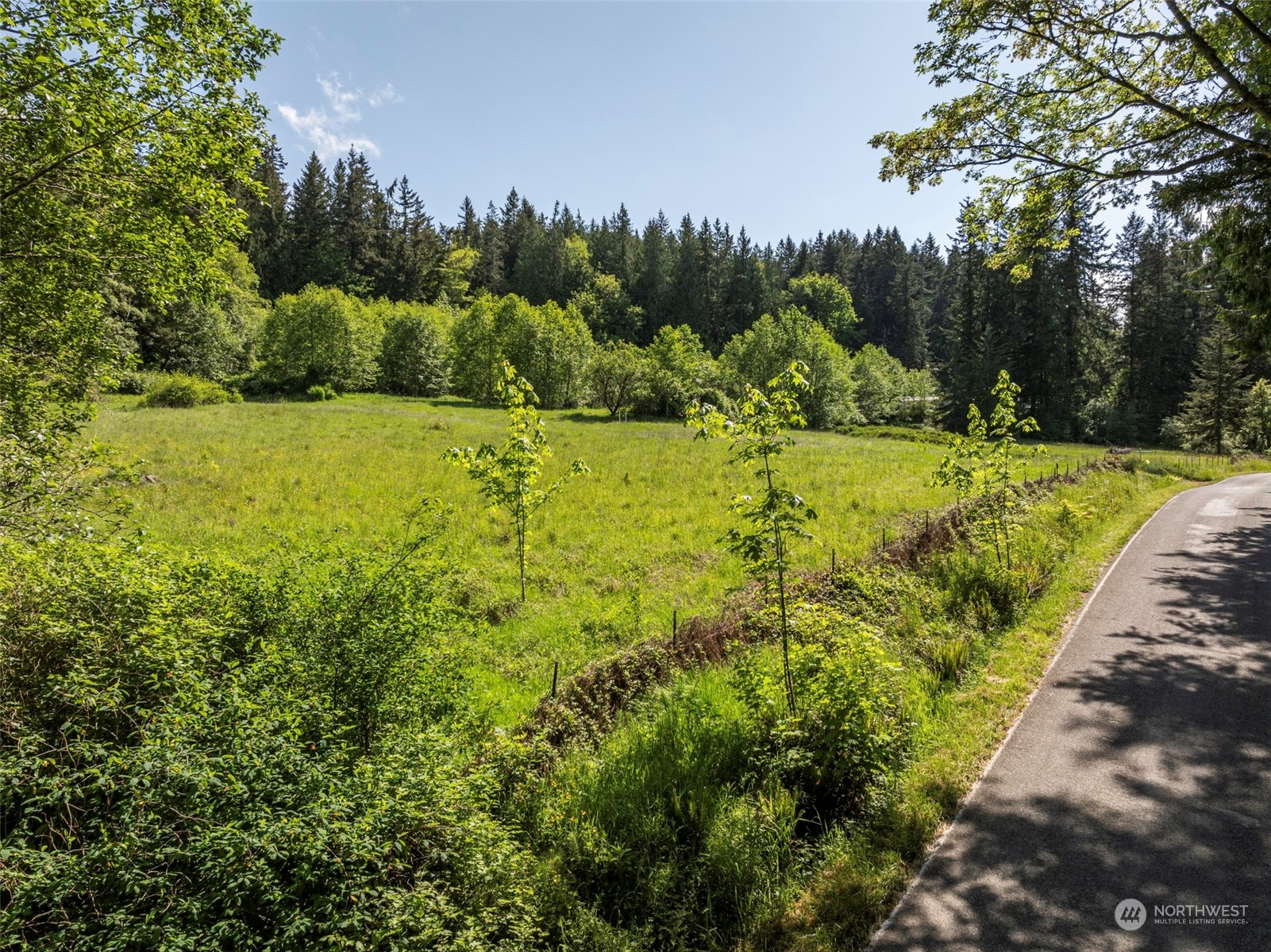 1434 Chicken Coop Road Sequim, WA 98382 - Photo 24 of 25 a view of a yard with plants