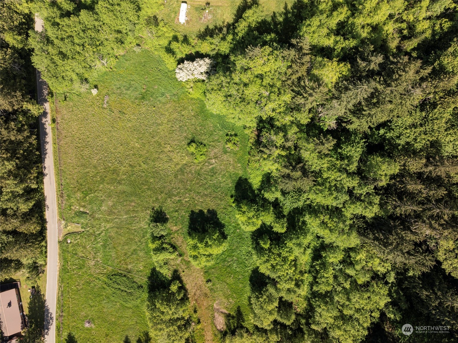 1434 Chicken Coop Road Sequim, WA 98382 - Photo 25 of 25 a view of a small yard with plants and large tree